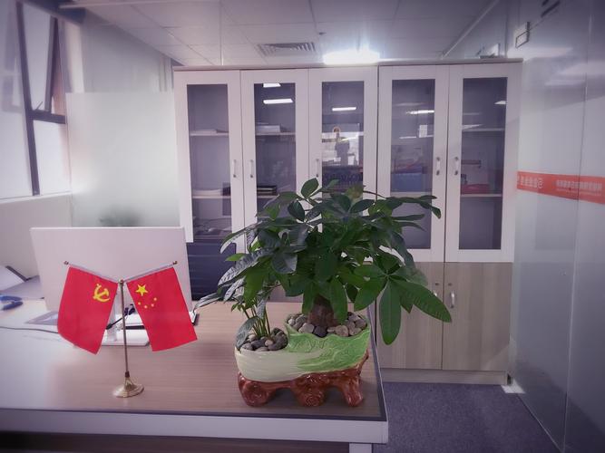 {'title': '赋能万物互联 深圳市傲网科技信息技术与物联科技的融合创新之路', 'content': '在数字化浪潮席卷全球的今天，物联网技术正以前所未有的速度重塑着产业格局。深圳市傲网科技信息技术有限公司（以下简称“傲网科技”）作为一家深耕信息技术与物联科技领域的创新企业，凭借其在连接技术、数据处理和行业应用方面的积累，正成为推动万物互联的重要力量。\n\n一、企业定位 信息技术与物联科技的双轮驱动\n\n傲网科技立足于深圳这座科技创新高地，以“信息技术服务”与“物联科技”为双核心业务。公司专注
